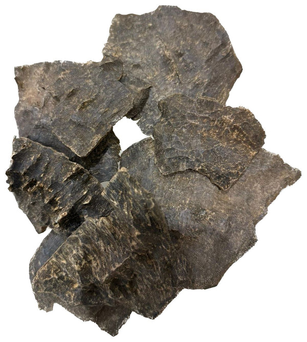 جار مناسبات